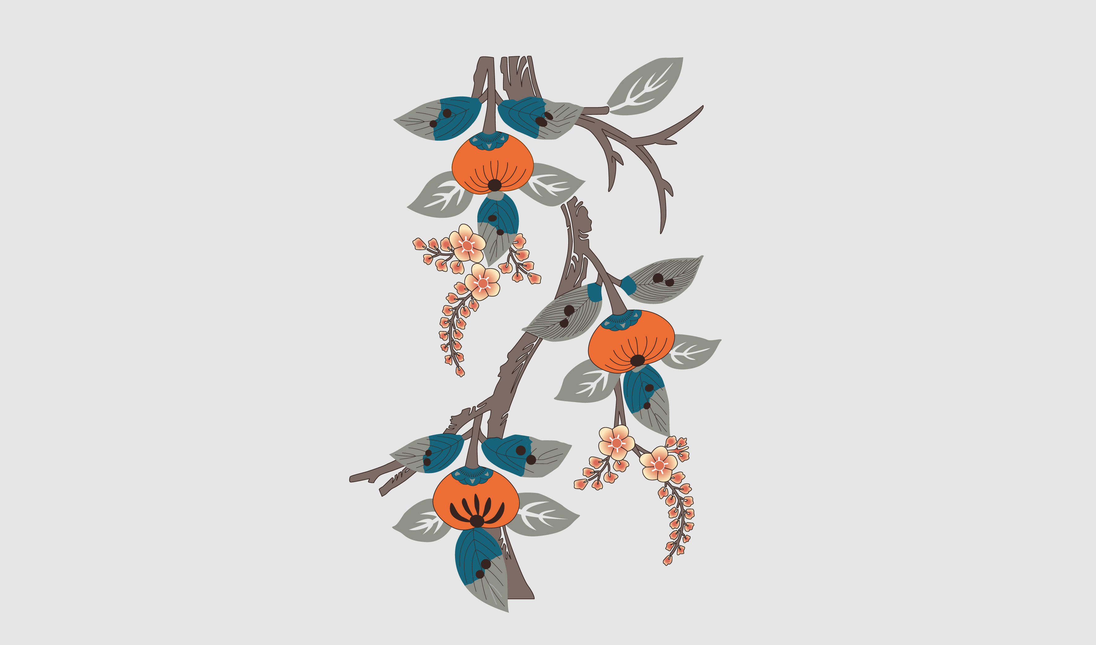 中国传统 柿子 花卉装饰性插画矢量图